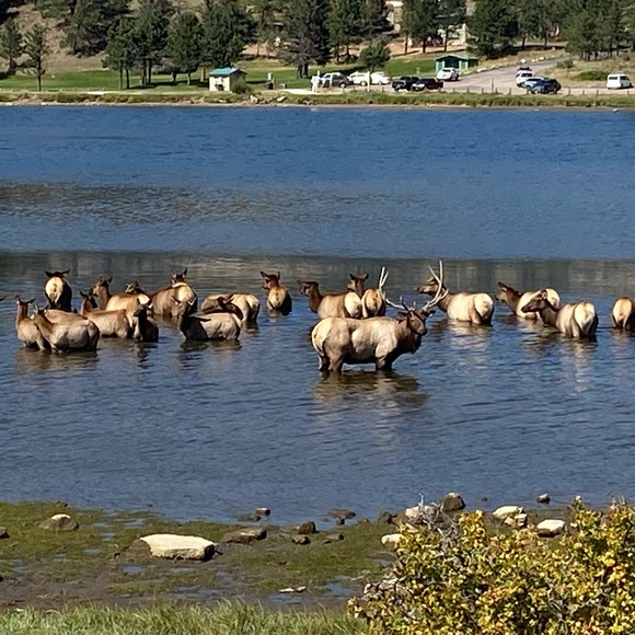 Meet your Posher, Rachel - Picture 5 of 8